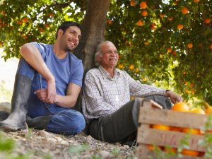 A senior and younger man sit under orange tree similing