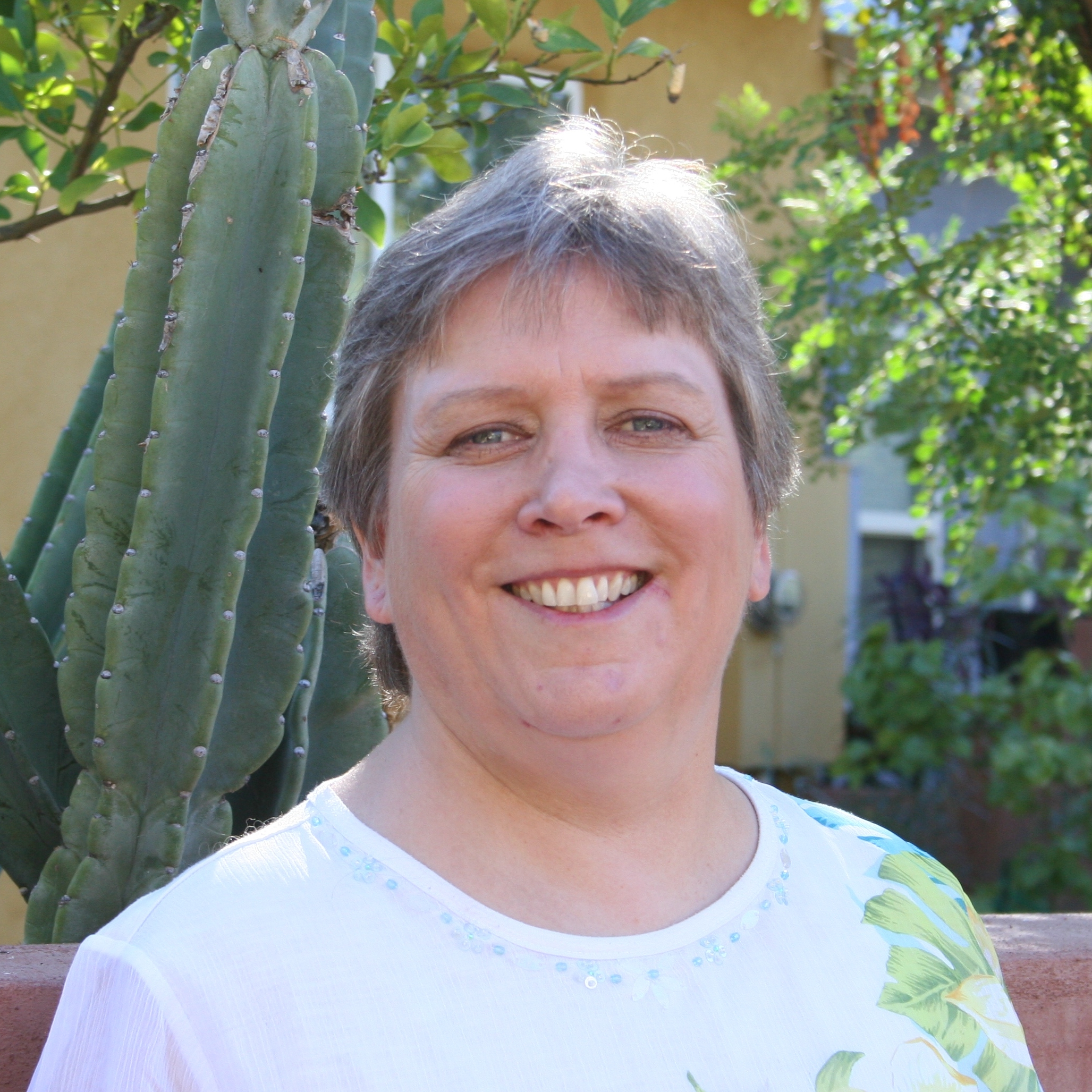 Lori Boston MSC, NCC, LPC in Tucson, Arizona, 85719